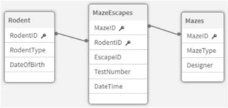 Exam QSBA2024: Question 8 - Image 1
