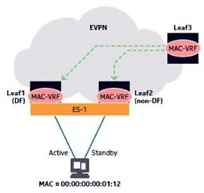 Exam 4A0-D03: Image 1