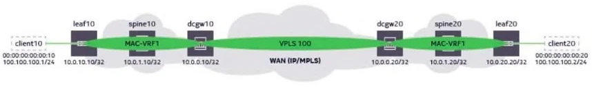 Exam 4A0-D03: Image 1