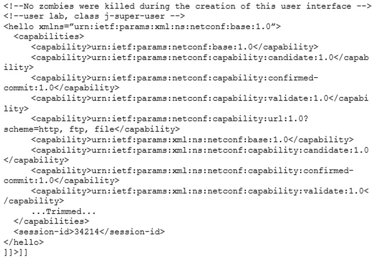 Exam JN0-220: Question 8 - Image 1